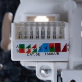 Розетка информационная Intro RJ45 Solo, сосна 4-303-11