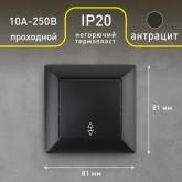 Переключатель Intro 10А-250В Solo, антрацит 4-103-05