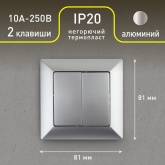 Выключатель двойной Intro 10А-250В Solo, алюминий 4-104-03