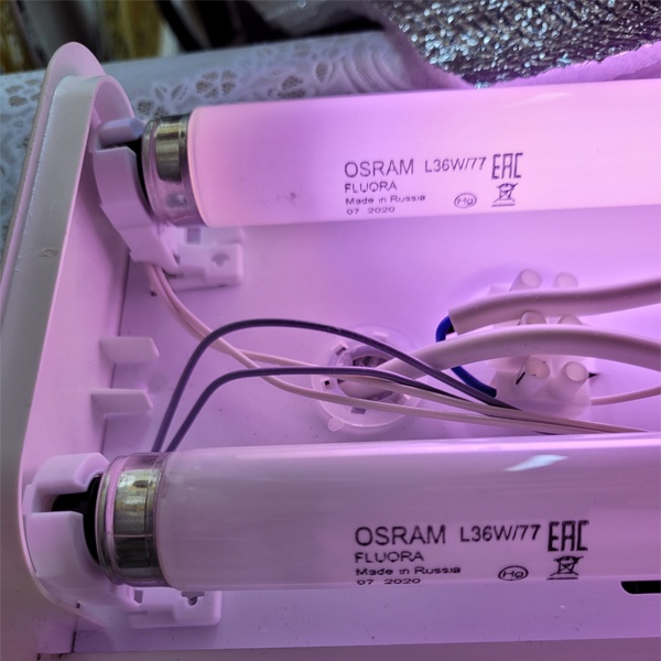 Лампа люминесцентная T8 Osram L FLUORA мощностью 36 Ватт с цоколем G13 для комнатных цветов и растений.