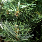 Елочка Neon-Night 45см в плетеном мешочке, ПВХ