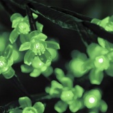 Светодиодное дерево Сакура, 6921LED 835W 24V L3.6m крона 3m зеленый IP54 трансформатор в комплекте