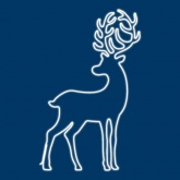 Фигура световая Сказочный олень из гибкого неона, 2400LED, 86W 230V 180х110см цвет свечения белый