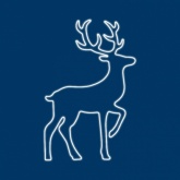 Фигура световая Сказочный олень из гибкого неона, 1680LED, 61,5W 230V 140х93см цвет свечения белый