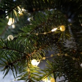 Гирлянда светодиодная ЭРА ЕGNIG - ZH нить Жемчуг на батарейки АА 1,9м желтая 20 LED