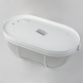 Светильник ЖКХ ЭРА НБП 04-100-002 с решеткой под лампу 100W с цоколем Е27 5056396213000