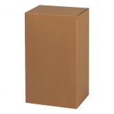 Светильник ЖКХ ЭРА НБП 04-100-002 с решеткой под лампу 100W с цоколем Е27 5056396213000