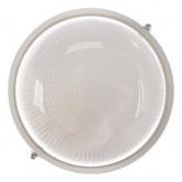 Светильник TDM НПП 03-60-001 (металл, стекло прозр.) IP65