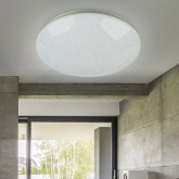 Светильник светодиодный ЭРА Классик без ДУ SPB-6-24-4K Element 24W 4000K 230V 1620Lm D327x95mm