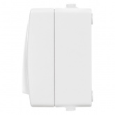 Выключатель одноклавишный TDM открытой установки Вуокса 10А IP54 белый