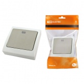 Выключатель одноклавишный TDM скрытой установки Вуокса 10А с подсветкой IP54 серый