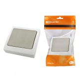 Выключатель одноклавишный TDM скрытой установки Вуокса 10А IP54 серый