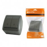 Переключатель двухклавишный TDM открытой установки Селигер 10А IP44 серый