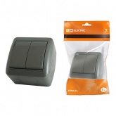 Выключатель двухклавишный TDM открытой установки Селигер 10А IP44 серый