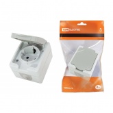 Розетка TDM 2П+З открытой установки Вуокса 16А IP54 серый