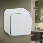 Накладной переключатель одноклавишный Intro 10А-250В IP20 Polo, белый 3-103-01 (5056183753689)