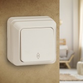 Накладной переключатель одноклавишный Intro Quadro 10А-250В IP20 слкость 2-103-02 (5055945565744)