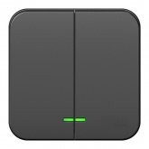 Накладной выключатель 2-клавишный с подсветкой SE Blanca 10А 250В антрацит из.пластина