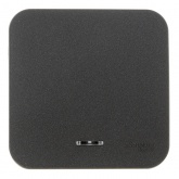 Накладной выключатель 1-клавишный с подсветкой SE Blanca 10А 250В антрацит