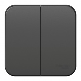 Накладной выключатель 2-клавишный SE Blanca 10А 250В антрацит