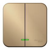 Накладной выключатель 2-клавишный с подсветкой SE Blanca 10А 250В титан