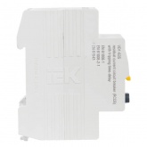 УЗО ИЭК ВД1-63S 2Р 50А 300мА тип AC селективное (ВДТ)