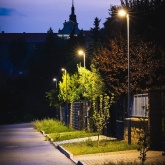 Консольный светодиодный светильник Foton FL-LED Street 30W 2700K 3000Lm серый d40mm