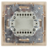 Выключатель двухклавишный Intro 10А 250В IP20 Plano, шампань 1-104-04