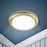 Светильник ЭРА влагозащищенный WR1 GD MR16 12V220V 50W золото IP44 (5055398634318)