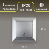 Переключатель Intro 10А-250В Solo, алюминий 4-103-03
