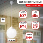 Светильник садово-парковый потолочный ЭРА НСБ 01-60-251 шар опал подвес шнур D250mm Е27