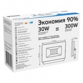 Прожектор светодиодный Gauss Elementary 30W 6500K 2100lm IP65 черный
