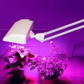 Светильник светодиодный настольный Дельта П-С32-025Ф ПДБ50-12-025 12W на струбцине,ФИТО, белый