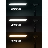 Светильник светодиодный на струбцине TDM СН-10 8W 2700-6500K телескопический DIM, USB черный