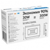 Прожектор светодиодный Gauss Elementary 30W 6500K 2100lm IP65 белый