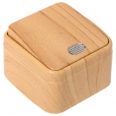 Накладной выключатель 1-клавишный EKF Минск с индикатором 10А IP20 светлое дерево