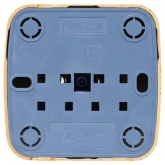 Накладная розетка EKF Минск 1-местная без заземления 10А IP20 светлое дерево