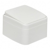 Накладной выключатель 1-клавишный EKF Минск 10А IP20 белый