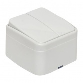 Накладной выключатель 2-клавишный EKF Минск 10А IP20 белый