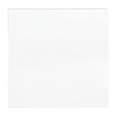 Выключатель одноклавишный EKF C-Line 10А 2 модуля белый