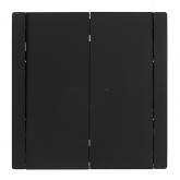 Переключатель двухклавишный ИЭК FORTE&PIANO FP107 10А черный