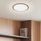 Светильник светодиодный ЭРА SPB-6 Saturn 70, 70W 3000-6500K 5950Lm с пультом ДУ 556x76мм 756390