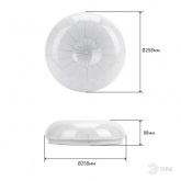 Светильник светодиодный ЭРА Классик SPB-6 Паутина 12-6,5K 12W 6500K 960Lm (5056183722746)