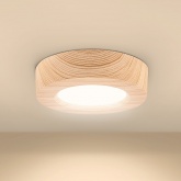 Светильник светодиодный TDM накладной круг Даунлайт СПО 6 Вт 3000K (сосна) 120х32мм