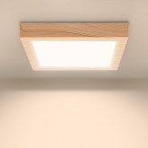 Светильник светодиодный TDM накладной квадрат Даунлайт СПО 18 Вт 3000K (сосна) 225х225х32мм