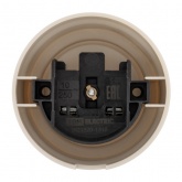 Накладная розетка TDM Виви 2П 10А 250В слоновая кость (бежевый)