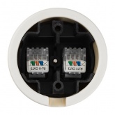 Накладная розетка RJ11 двойная TDM Болонь фарфор слоновая кость (бежевый)