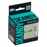 Розетка для зарядки ИЭК SKANDY SK-R15M USB A+A 3,1А мятный