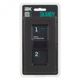 Рамка 2 поста ИЭК SKANDY SK-F22G стекло графит