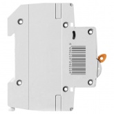 Автоматический выключатель TDM ВА47-29 1Р 20А 4,5кА характеристика D (автомат электрический)